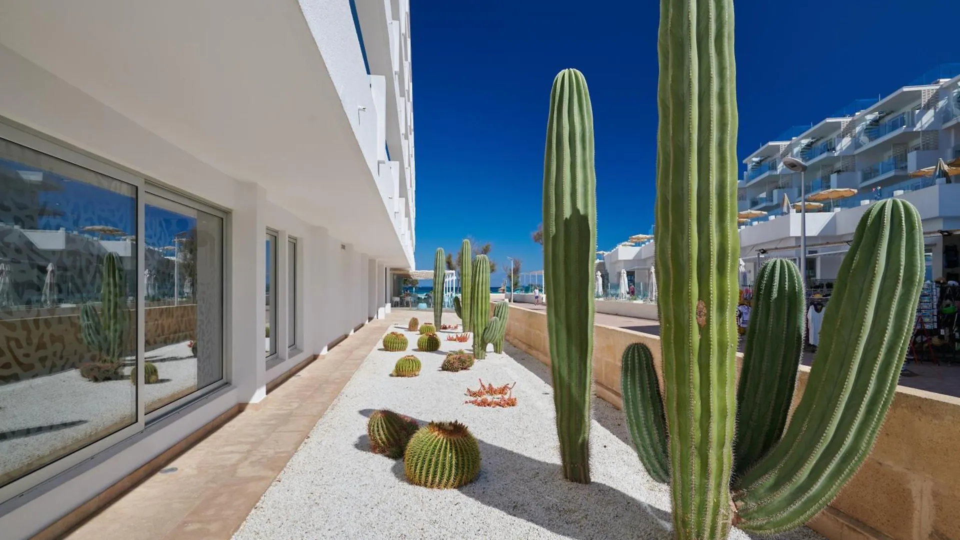 ****  The Sea Hotel By Grupotel - Adults Only Can Picafort  Hiszpania