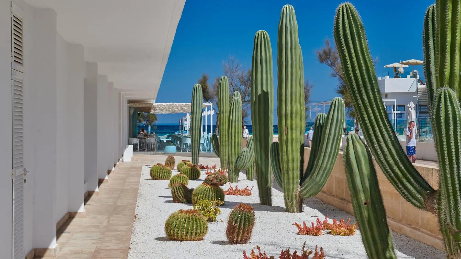 The Sea Hotel By Grupotel - Adults Only Can Picafort